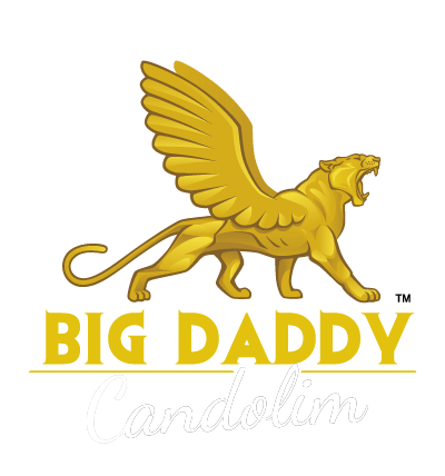 Big Daddy Candolim Casino